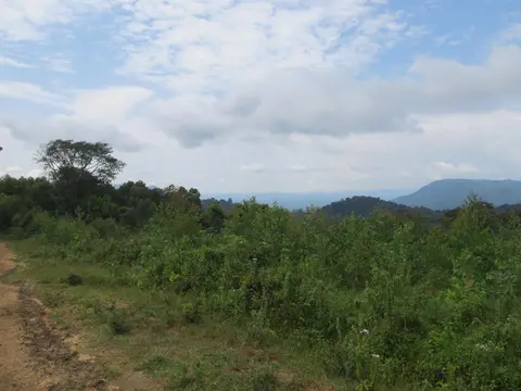 tuuru kixn